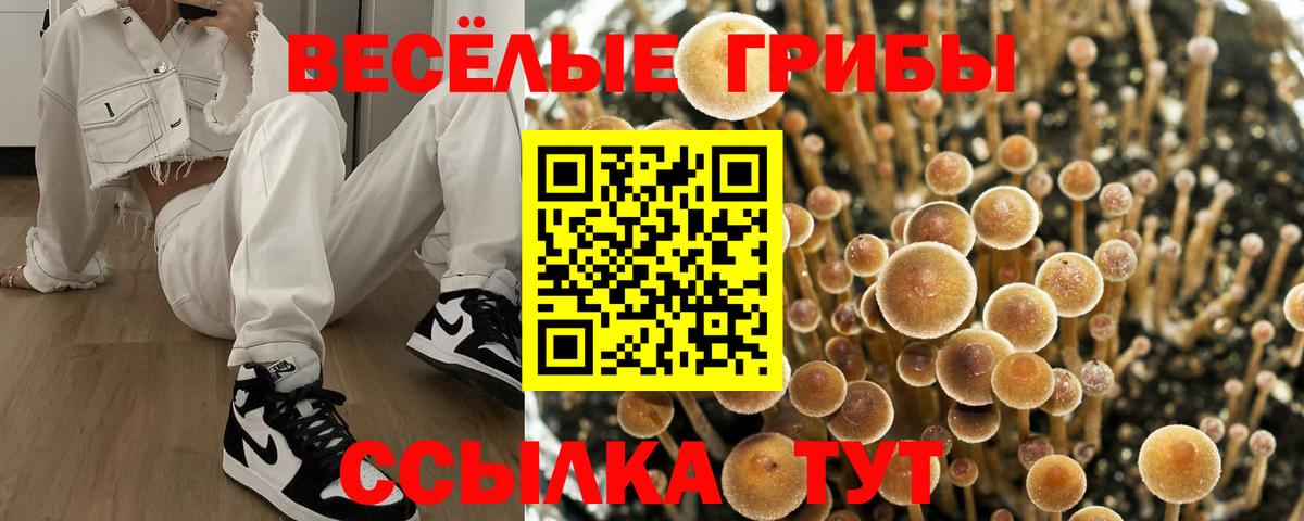 Псилоцибиновые грибы мицелий Нягань